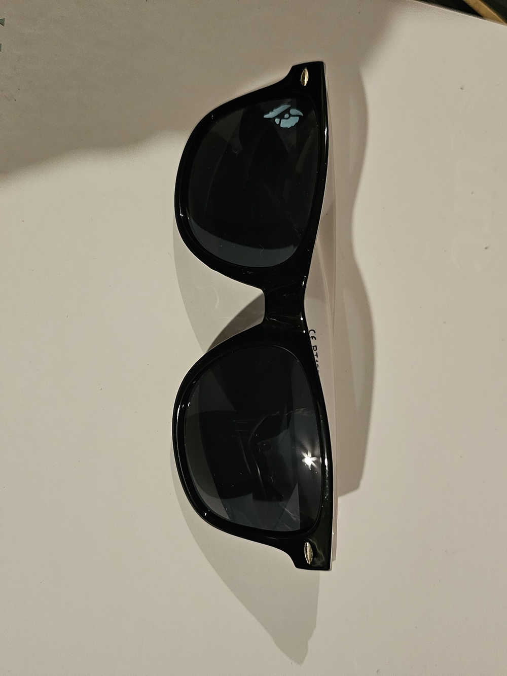 Women's Black Bison Sunglasses